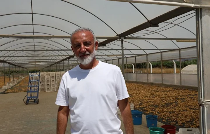 kuru incir ihracatinda kirli oyun tezi 3 X3BY8PAR