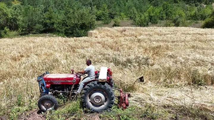 megakenti birakip orduda tarima yoneldi 200 donum atil araziyi tarima kazandirdi 4