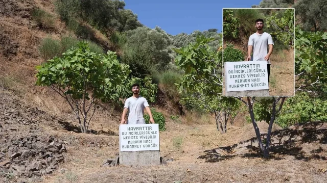 Mezar taşı değil ‘herkes yesin’ uyarısı mezar tasi degil herkes yesin uyarisi LabECORq.webp