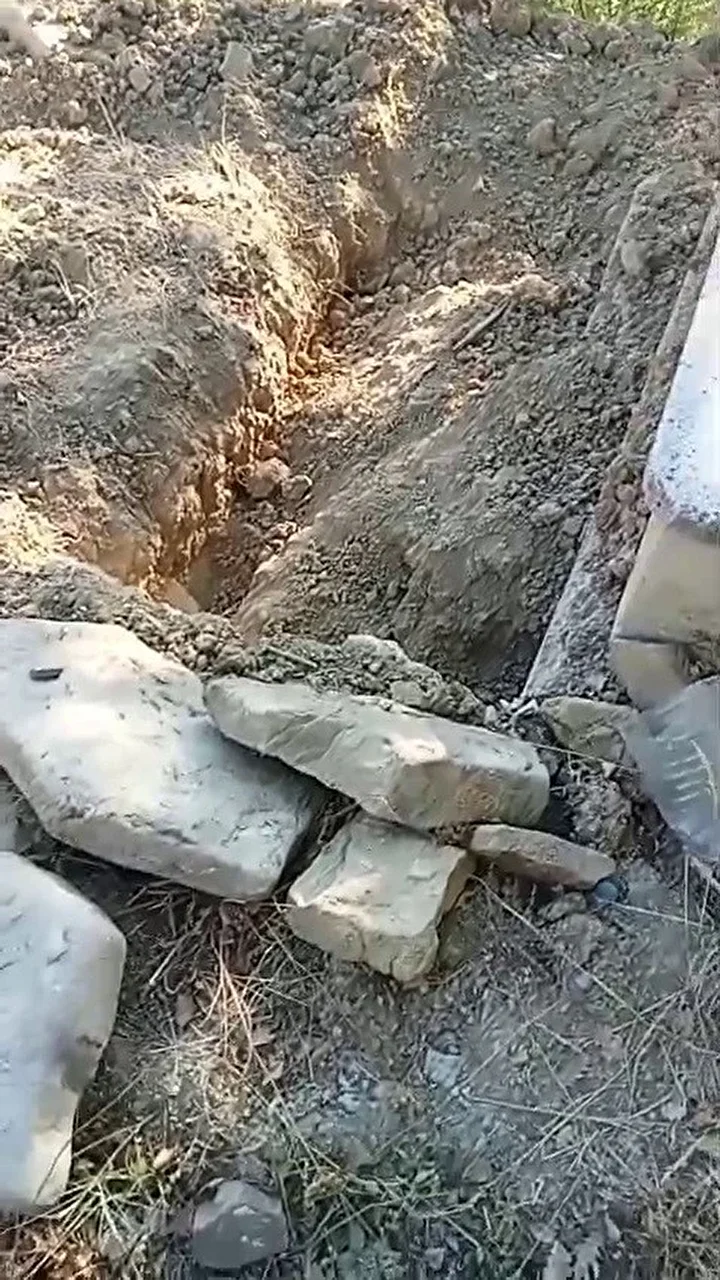 Mezarı kazıp tahtaları kırdı: Ayı cenazeye ulaşamadan kaçtı 3 mezari kazip tahtalari kirdi ayi cenazeye ulasamadan kacti 2