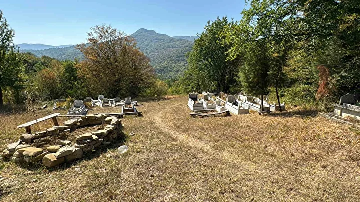 Mezarı kazıp tahtaları kırdı: Ayı cenazeye ulaşamadan kaçtı 7 mezari kazip tahtalari kirdi ayi cenazeye ulasamadan kacti 6 qKl3Ykzp