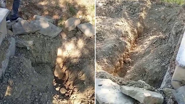 Mezarı kazıp tahtaları kırdı: Ayı cenazeye ulaşamadan kaçtı mezari kazip tahtalari kirdi ayi cenazeye ulasamadan kacti xYcbQXaE.webp