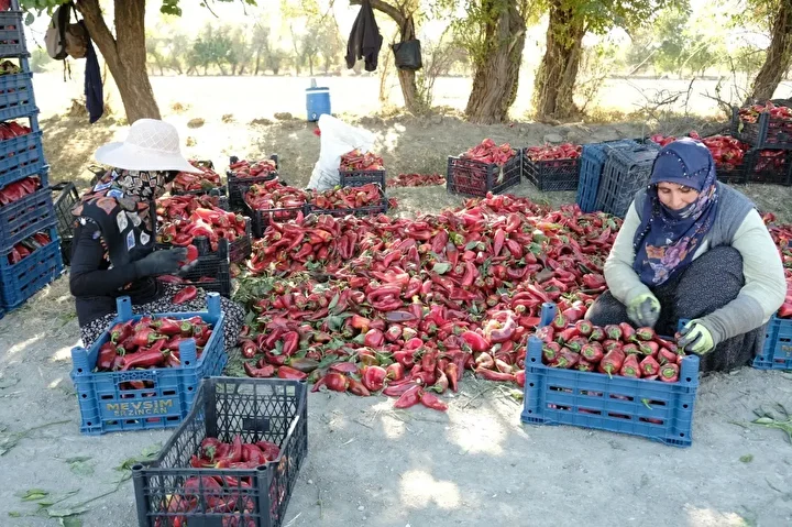 mezun olur olmaz basladi gayesine ulasti 27 yasinda buyuk para kazandi 0 eIlFGOQG