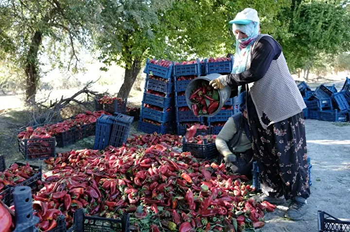 mezun olur olmaz basladi gayesine ulasti 27 yasinda buyuk para kazandi 6 n1eWFeyA