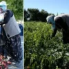 Yunanistan’da 2 yıl evvel yaşanan tren kazasının sorumlularının bulunması için aksiyon yapıldı mezun olur olmaz basladi gayesine ulasti 27 yasinda buyuk para kazandi ZPnya9qg.webp