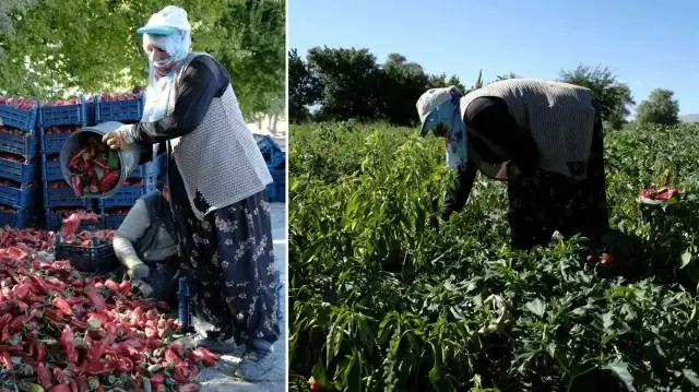 mezun olur olmaz basladi gayesine ulasti 27 yasinda buyuk para kazandi ZPnya9qg.webp