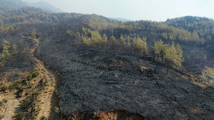muglada 3 bin hektar orman kule dondu yanginda ziyan goren alanlar dronla goruntulendi 6 mT9jb2US