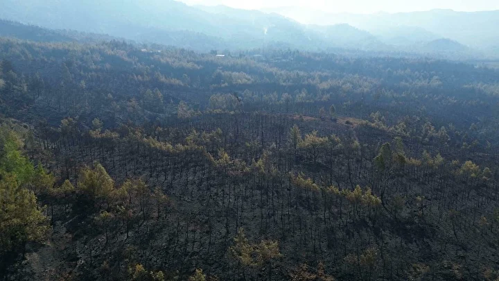 muglada 3 bin hektar orman kule dondu yanginda ziyan goren alanlar dronla goruntulendi 8 gE7zFnEd