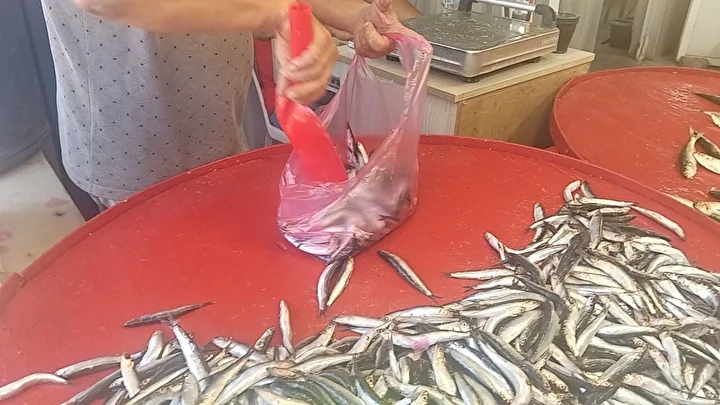 Muğla’da Karadeniz hamsisi kilosu 250 TL’den satışta 4 muglada karadeniz hamsisi kilosu 250 tlden satista 3 f49USE1M