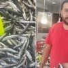 muglada karadeniz hamsisi kilosu 250 tlden satista pUbVwONV.webp