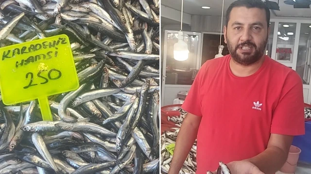 Muğla’da Karadeniz hamsisi kilosu 250 TL’den satışta muglada karadeniz hamsisi kilosu 250 tlden satista pUbVwONV.webp