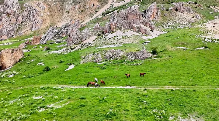 munzur daglarindaki yilki atlari dron ile goruntulendi 5 bDfpW7hO