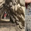 Ordu’da kuvvetli rüzgar: Dalga uzunluğu 5 metreye ulaştı nerikte bulundu uc bin 500 yillik findik fosili MlhKkkDx.webp