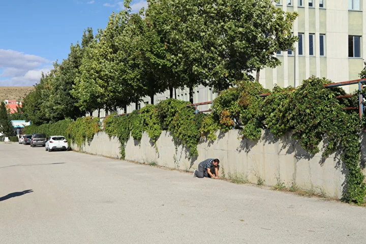 otoparkta kesfedildi okyanuslarda gorulen az tip cankirida tespit edildi 3 lb2VRuhE