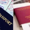 pasaportlarda kiymetli degisiklik yeni devir 12 ekimde basliyor 3bdbN6Pa.webp