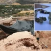 perrede heyecanlandiran kesif bu figur anadoluda yapilan hafriyatlarda birinci defa karsimiza cikti MhTpjqeY.webp