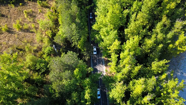 Safranbolu'da 'ağaçtan tünel' 3 safranboluda agactan tunel 2 TBguBpA6