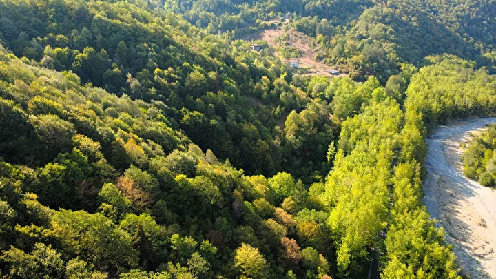Safranbolu'da 'ağaçtan tünel' 4 safranboluda agactan tunel 3 7TkulTYy