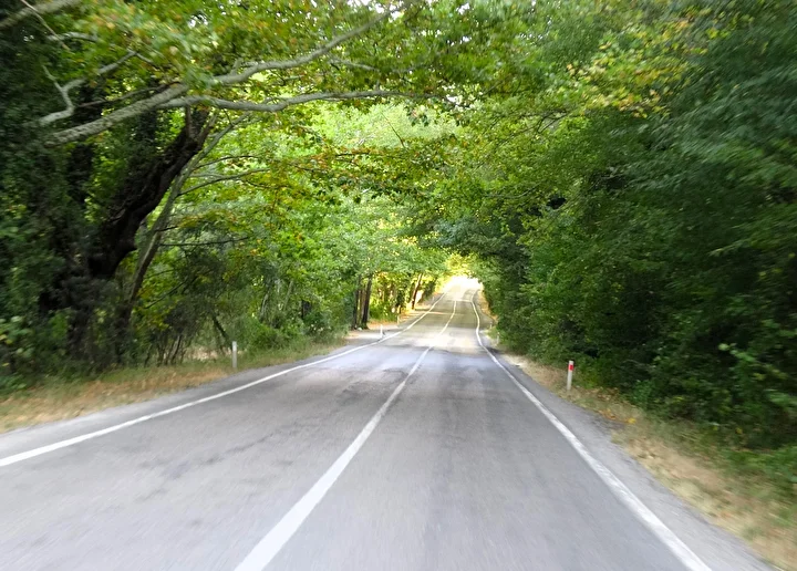Safranbolu'da 'ağaçtan tünel' 5 safranboluda agactan tunel 4 s6TupPFv