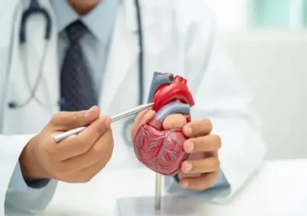 Sağlıklı ve istikrarlı beslenme, kalp-damar sıhhatini koruyor saglikli ve istikrarli beslenme kalp damar sihhatini koruyor xmq242gs.webp