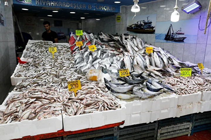 Samsun'da hamsi tezgahta 200-300 liradan satılıyor 1 samsunda hamsi tezgahta 200 300 liradan satiliyor 0 gT3e3bDS