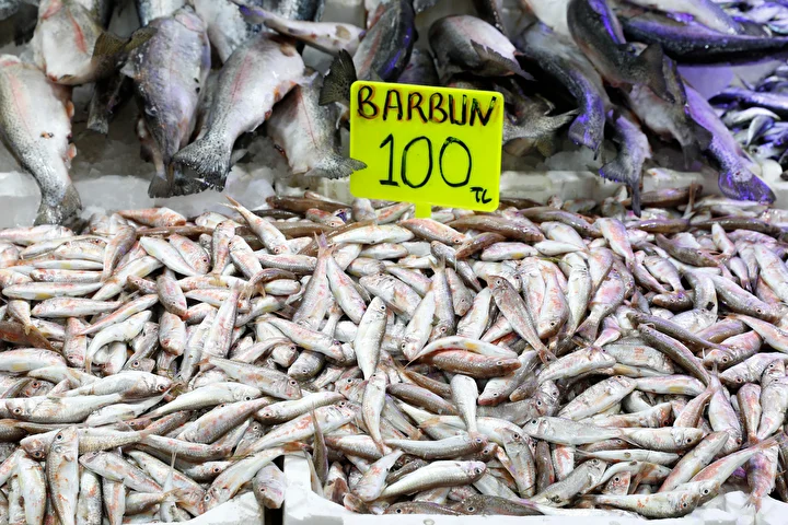 Samsun'da hamsi tezgahta 200-300 liradan satılıyor 4 samsunda hamsi tezgahta 200 300 liradan satiliyor 3 BJvTcG39