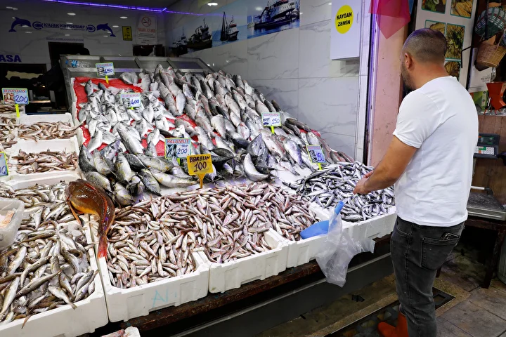 Samsun'da hamsi tezgahta 200-300 liradan satılıyor 5 samsunda hamsi tezgahta 200 300 liradan satiliyor 4 wJf9z5wr