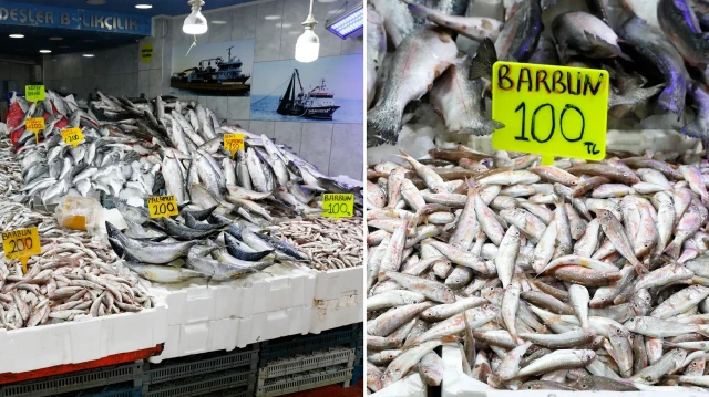 Samsun’da hamsi tezgahta 200-300 liradan satılıyor samsunda hamsi tezgahta 200 300 liradan satiliyor DmlWWnE5.webp