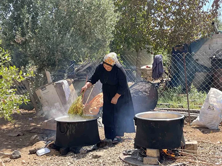 sanliurfa sicaginda tadi ve aromasi lezzetleniyor bolgede pekmez seyahati basladi 0 U8ylCG6e