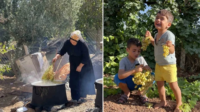 sanliurfa sicaginda tadi ve aromasi lezzetleniyor bolgede pekmez seyahati basladi uJttsJLm.webp