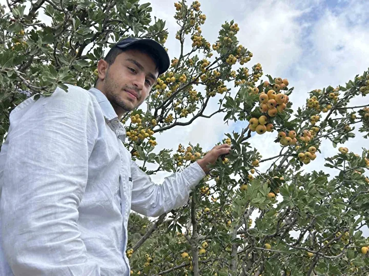 sifa deposu alicta hasat basladi kilogram fiyati 200 liradan alici buluyor 1