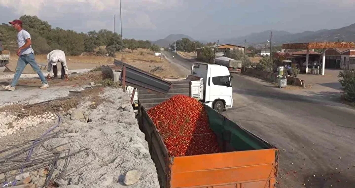Sındırgı’da domates hasadı sarsıntıya karşın devam ediyor 3 sindirgida domates hasadi sarsintiya karsin devam ediyor 2 jciOkvdE