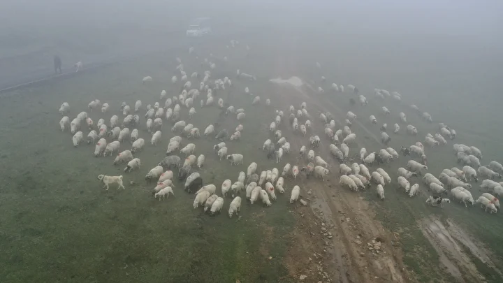 sisler altindaki karadeniz yaylalarindan donus seyahati basladi 0 L5AXGTLz
