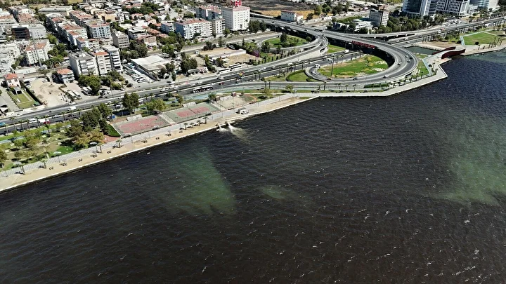 Son iki günde tesiri arttı: İzmir Körfezi'nde kirlilik ve makus koku sürüyor 1 son iki gunde tesiri artti izmir korfezinde kirlilik ve makus koku suruyor 0 6In1GlmI