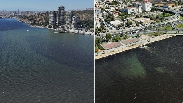 Son iki günde tesiri arttı: İzmir Körfezi’nde kirlilik ve makus koku sürüyor son iki gunde tesiri artti izmir korfezinde kirlilik ve makus koku suruyor VyNtET3M.webp