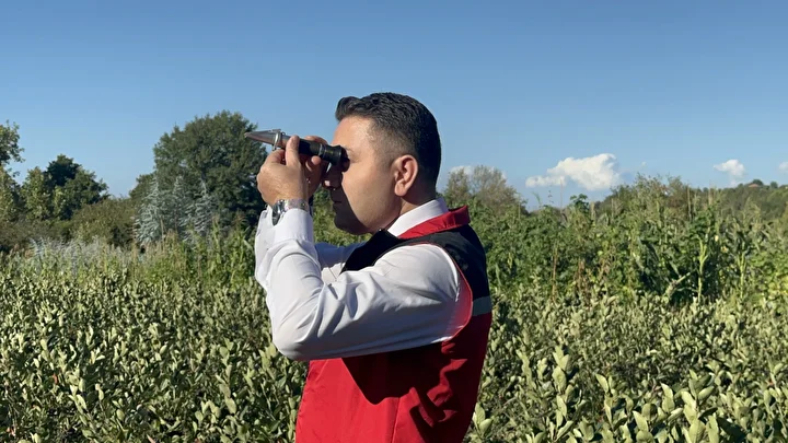 super meyve olarak biliniyor yaslanma geciktirici tesiri de var 5 Nrf3pa44