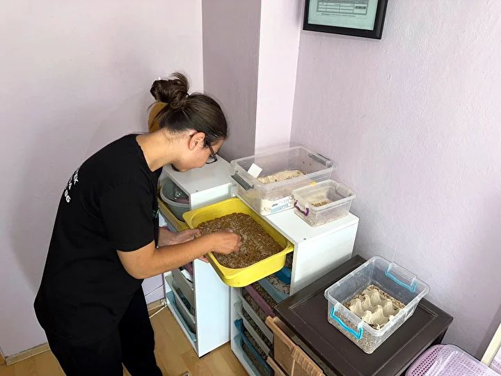 taleplere yetisemiyor meskeninde o denli bir tesis kurdu ki paraya para demiyor 0 P1ajpiE8