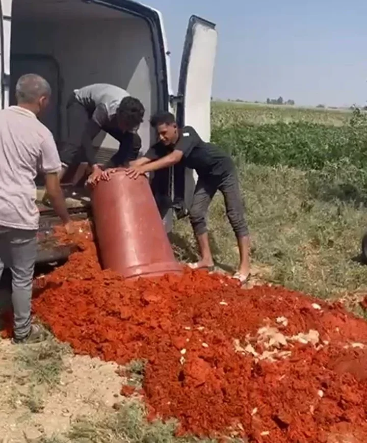 Tam 6 ton imha edildi: Hepsini vatandaşa yedireceklerdi gruplar harekete geçti 2 tam 6 ton imha edildi hepsini vatandasa yedireceklerdi gruplar harekete gecti 1 mIgTmQcQ