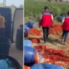 Bursalı öğretmen orman yangınlarında kaybedilen her ağaç yerine 10 fidan dikiyor tam 6 ton imha edildi hepsini vatandasa yedireceklerdi gruplar harekete gecti 72VLzCEp.webp