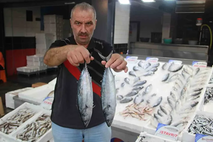 tanesi 350 lira olunca tezgahin gozdesi bu sene degisti 2 l64vrAuy