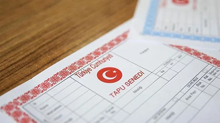Tapu sahiplerine '45 gün' uyarısı: Müracaat yapmayanların toprakları otomatik kiraya verilecek 5 tapu sahiplerine 45 gun uyarisi muracaat yapmayanlarin topraklari otomatik kiraya verilecek 4 jpDfeq1Y