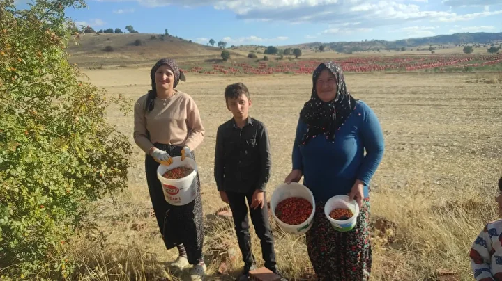 toplamasi zahmetli sifasi saymakla bitmiyor 0 FisRSEuy