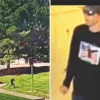 Gişede tehlike çanları trump kirkun katilini yakaladik Sv9qiEzZ.webp