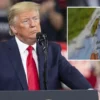 trumpin tayvana 400 milyon dolarlik askeri yardimi iptal etti argumani yzwlByNQ.webp