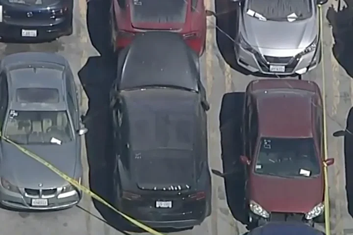 Ünlü müzikçinin Tesla’sında parçalanmış bayan cesedi bulundu: Vahşeti bagajdan yayılan koku ortaya çıkardı 4 unlu muzikcinin teslasinda parcalanmis bayan cesedi bulundu vahseti bagajdan yayilan koku ortaya cikardi 3
