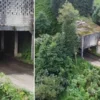 ustu cay alim yeri alti yol cok enteresan bir yapi rizeli zekasi diyorlar Qb9T5dOy.webp