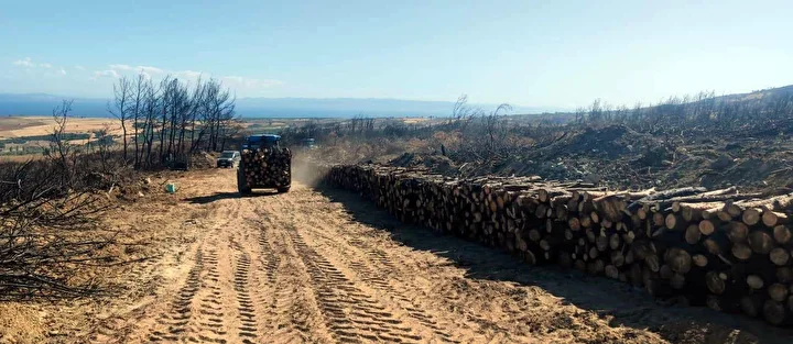 Yanan orman temizleniyor kesilen ağaçlar istifleniyor 5 yanan orman temizleniyor kesilen agaclar istifleniyor 4 IBBIwd6p