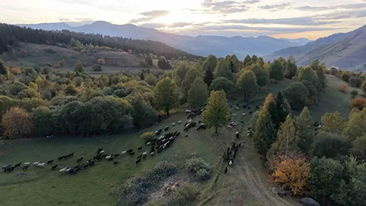 2 bin 400 ile 3 bin metre rakim ortasinda kaliyor sonbahar karadenizde birinci bu JQaKSHfw