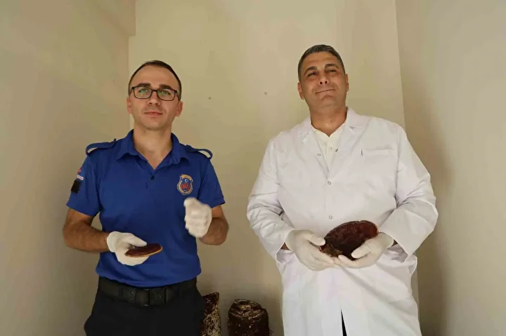 adanadaki mahkumlar kirmizi reishi mantari uretti kilosu 15 bin liradan satiliyor 3 LEkAZXcC