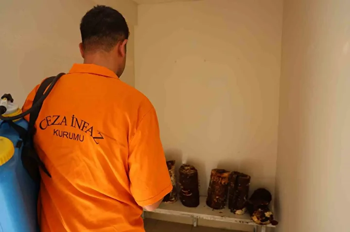 adanadaki mahkumlar kirmizi reishi mantari uretti kilosu 15 bin liradan satiliyor 5 nACD2Q7P